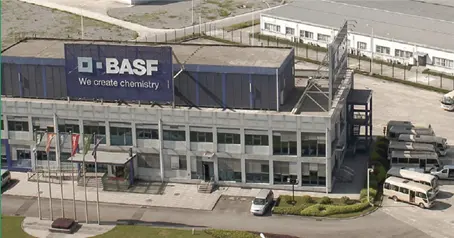 Basf Taldearen Sarrera
